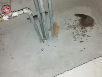 吴起卫生间测漏水价格明细