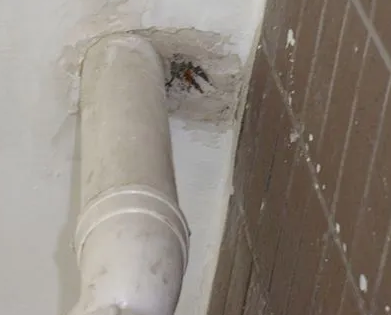 吴起漏水检测哪家好